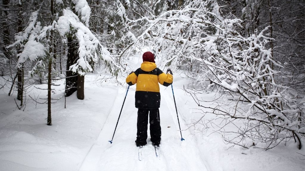 Bilden föreställer ett barn som är ute och åker på längdskidor. Barnet har ryggen vänd mot kameran, och är klädd i svarta skidbyxor och en svart och gul skidjacka. Barnet befinner sig i en snötäckt skog, med nedhängande grenar täckta med snö. En av grenarna hänger till och med ned i spåret hen åker på.