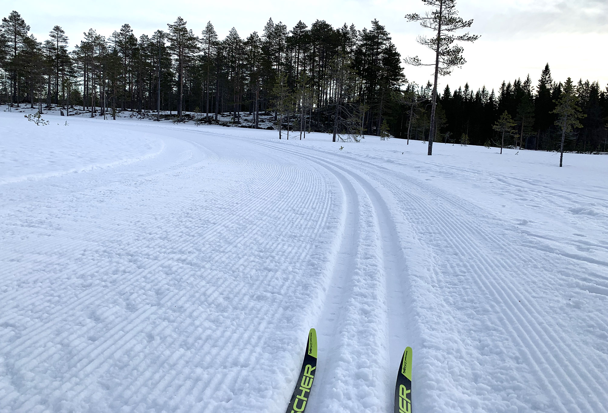 Längdskidor i Sälen