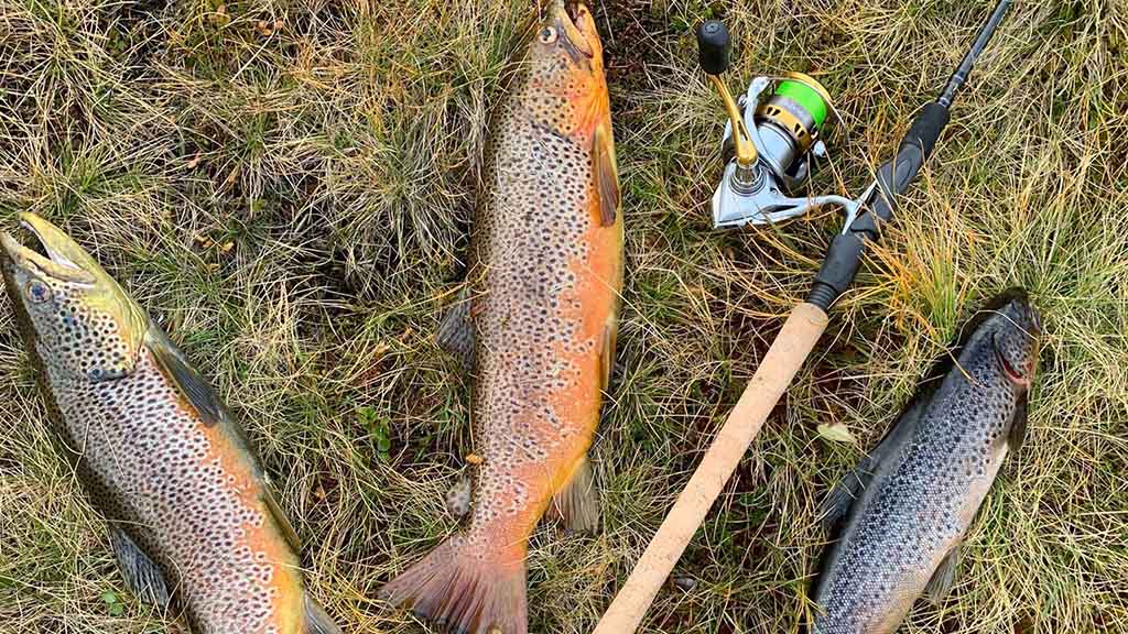 Bilden är från området runt fjällbyn Adolfström, beläget i Laisdalen, Lappland, där vildmarken börjar. Foto: Eric Engström.