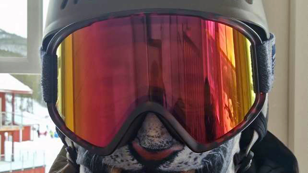 Bäst i test skidglasögon - bästa goggles.