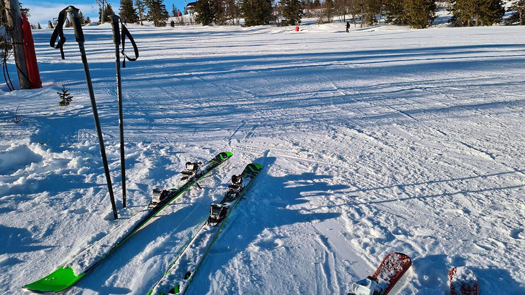 Bäst i test slalomskidor.